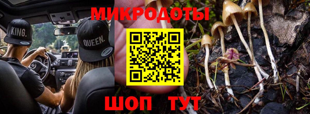 Псилоцибиновые грибы Cubensis Осинники