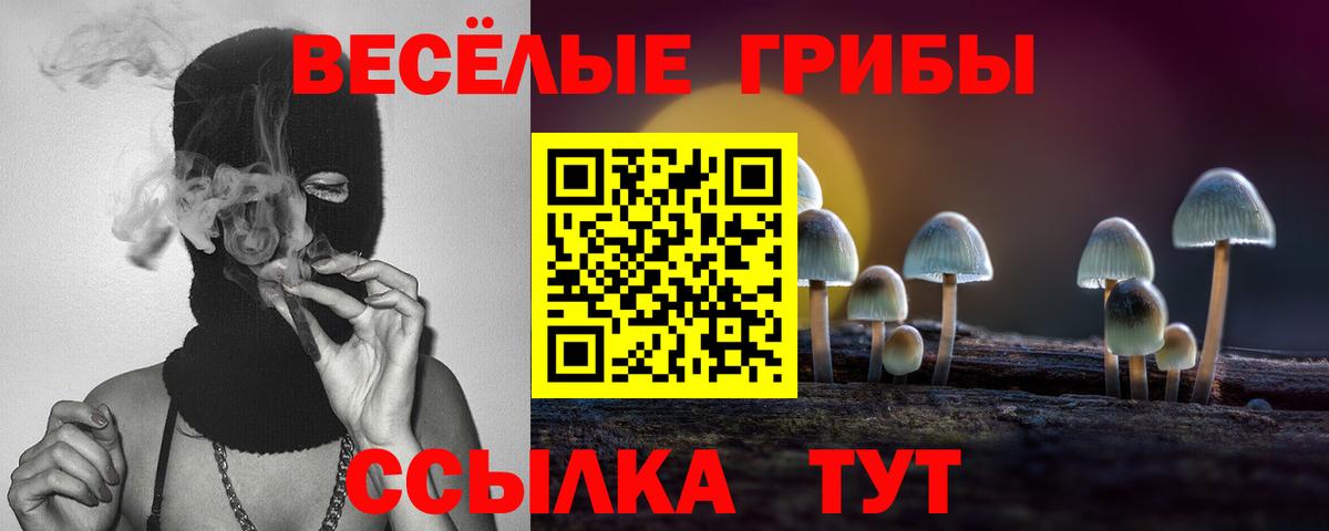 Осинники  Галлюциногенные грибы мухоморы  Вход с VPN 